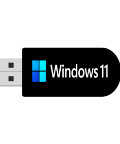 usb cai win 11
