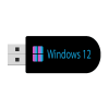 usb cai win 12